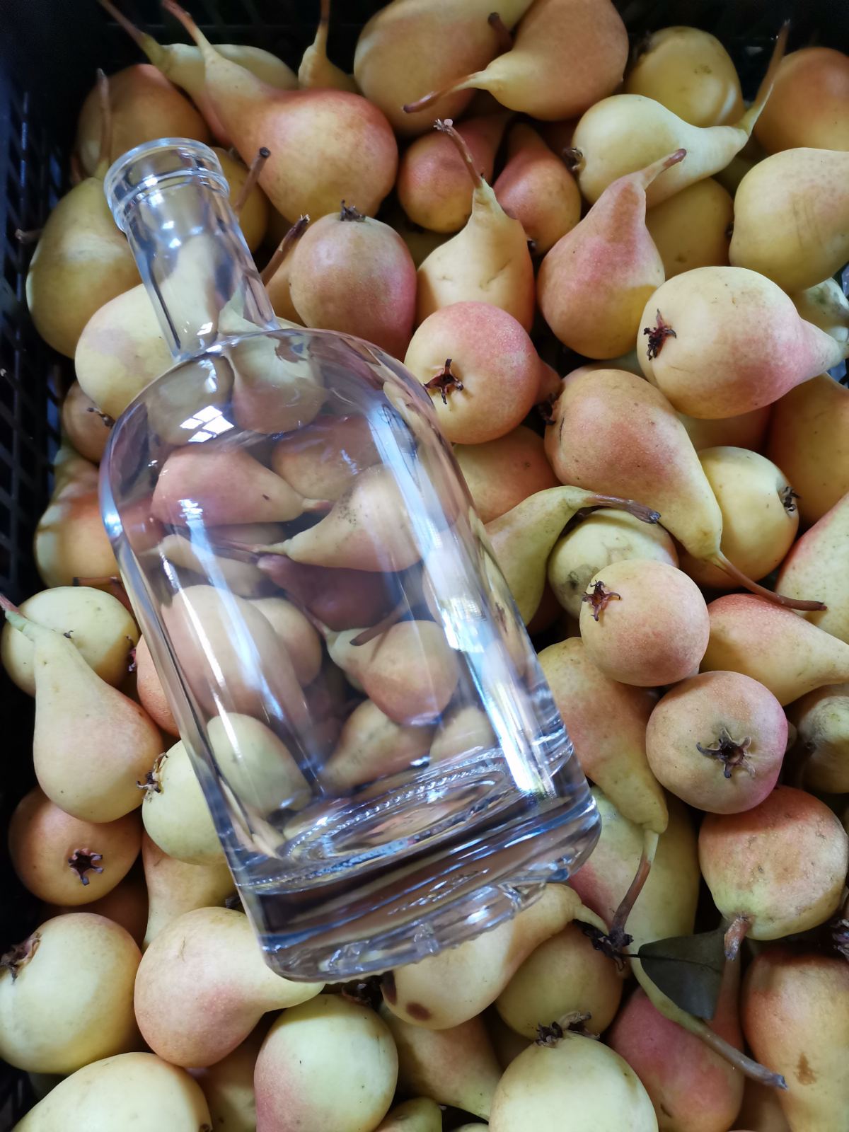 IMG-3b002d97e21bfb04332d057d02c43bad-V